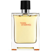 Terre d'Hermès Masculino Eau de Toilette - 100 ml